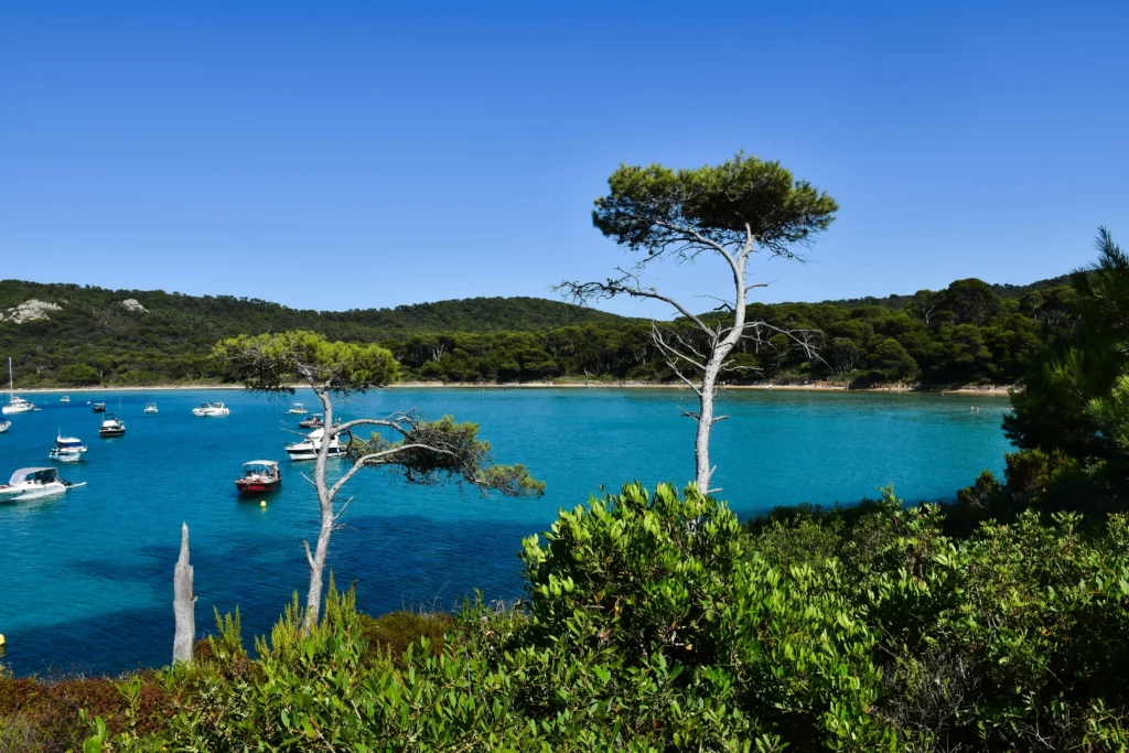 Île de Porquerolles - Villa et chambre d'hôtes vue mer Le Lavandou